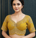 Heavy embroidery work blouse
