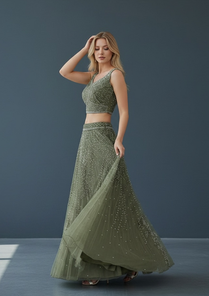 Rewa : Lehenga Choli set