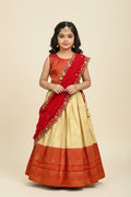 Lehenga Choli set for Girls