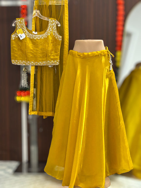 Tissue organza lehenga Choli - Kurti Connection USA
