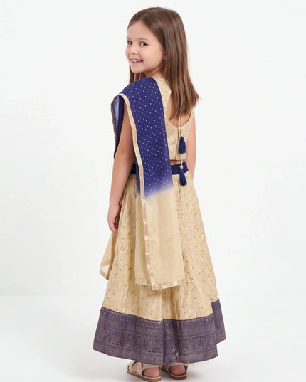 Lehenga Choli set for young girls