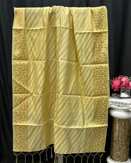 Kurti Connection USA light green dupatta with golden zari diagonal stripes, geometric borders, and tassel edges.