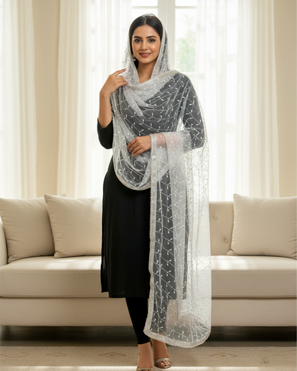 Kurti Connection USA silver embroidered net dupatta draped over a woman in a black outfit in a bright living room
