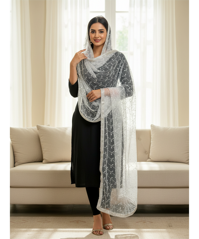 Kurti Connection USA silver embroidered net dupatta draped over a woman in a black outfit in a bright living room