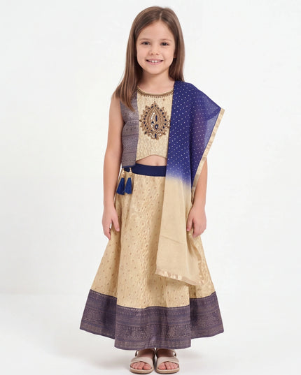 Lehenga Choli set for young girls