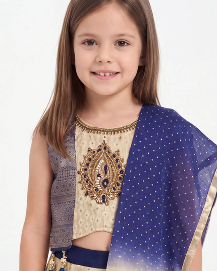 Lehenga Choli set for young girls
